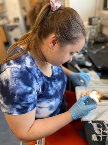 anastasiya plotnikova